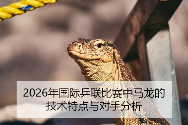 2026年国际乒联比赛中马龙的技术特点与对手分析