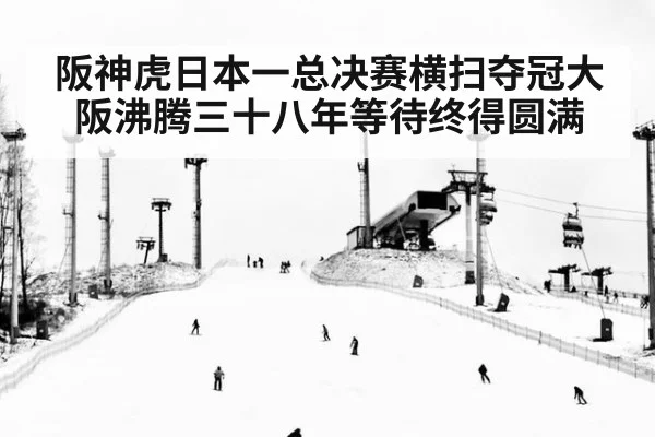 阪神虎日本一总决赛横扫夺冠大阪沸腾三十八年等待终得圆满